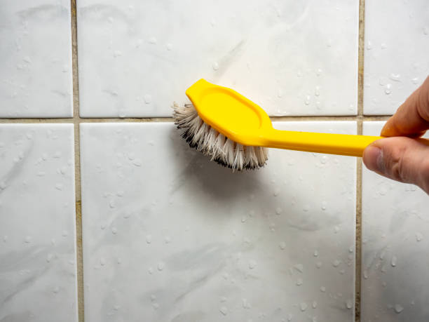 Best DIY Mold Remediation Support Services in Oostburg, WI