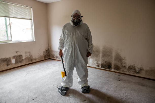 Best HVAC Mold Remediation in Oostburg, WI